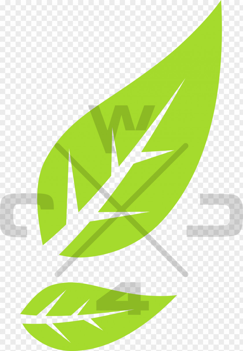 Eco Leaf Green Clip Art PNG