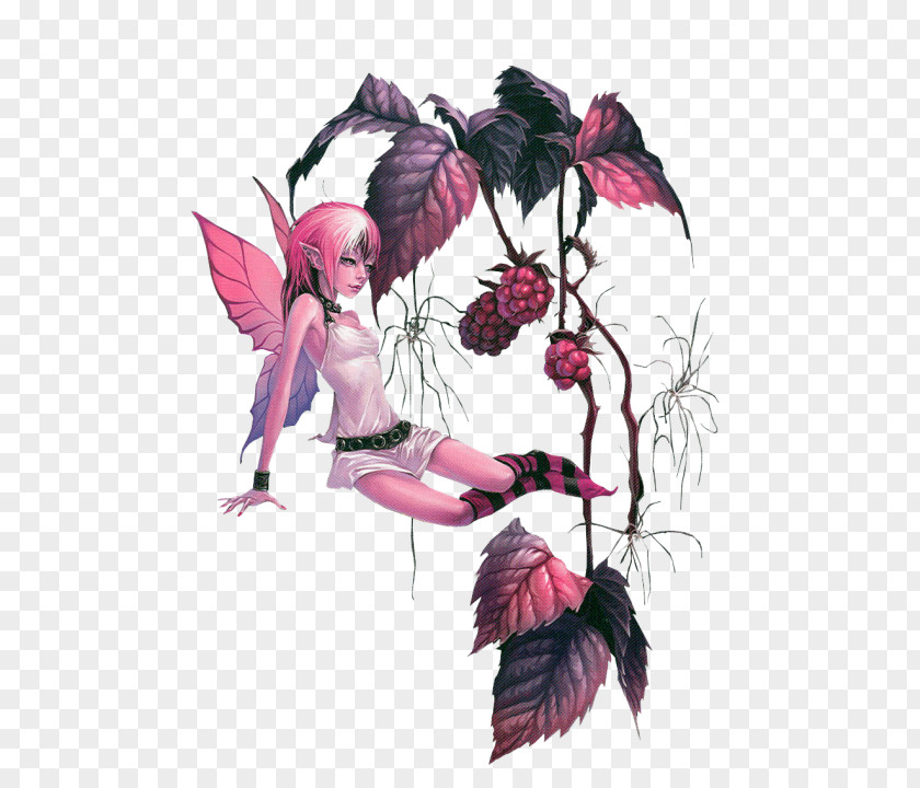 Fairy Elf Drawing Woman PNG