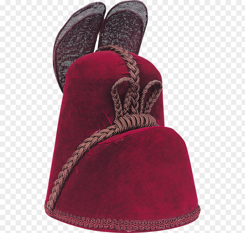 Gorro Shoe Maroon Velvet Hat PNG