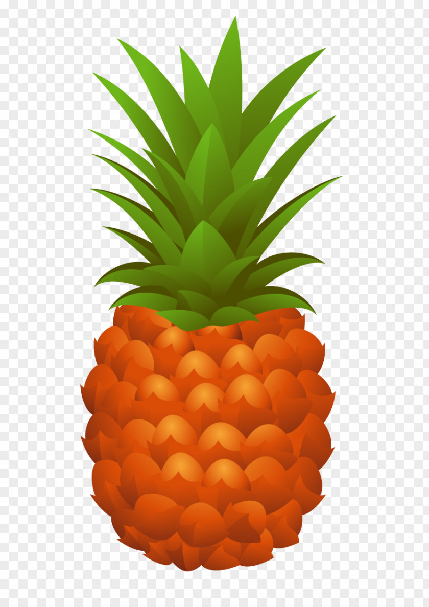 Pineapple Juice Drawing Jus D'ananas PNG