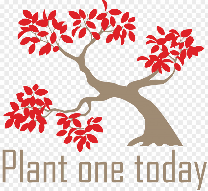 Plant One Today Arbor Day PNG