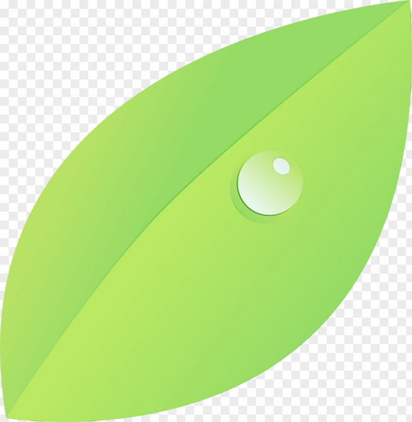 Plant Oval Green Leaf PNG