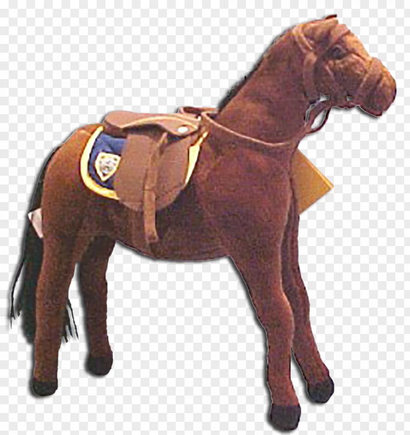 Police New York City Department Thoroughbred Mounted Foundation PNG
