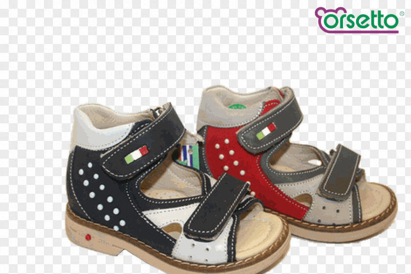 Sandal Shoe PNG