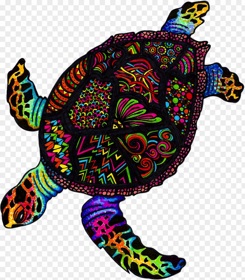 Turtle Green Sea Canvas Print Art PNG