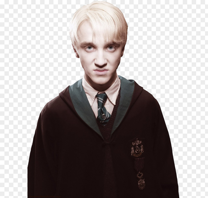 Pixie Harry Potter Tom Felton Draco Malfoy And The Philosopher's Stone Gregory Goyle (Literary Series) PNG