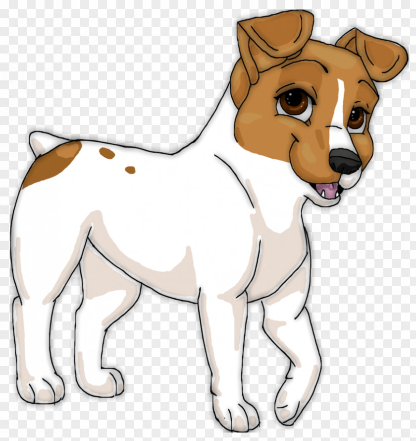 Puppy Dog Breed Jack Russell Terrier Boston Companion PNG