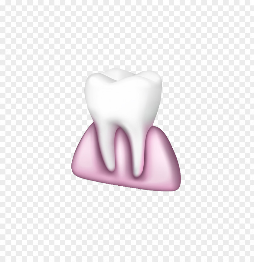 Teeth And Gums Tooth 3D Computer Graphics Download PNG