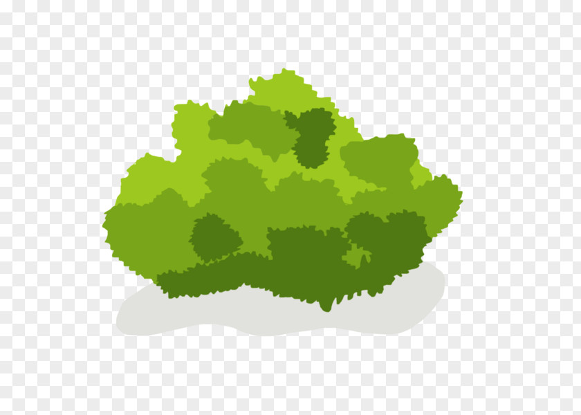 Green Bush Cliparts Shrub Tree Drawing Clip Art PNG