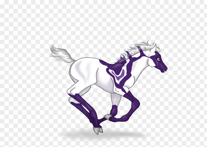 Mustang Pony Mane Stallion Halter PNG