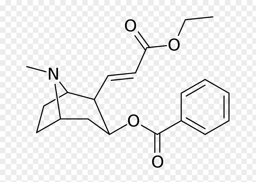 Structural Analog Hydroxy Group Chemical Compound Substance Ester Phenyl PNG