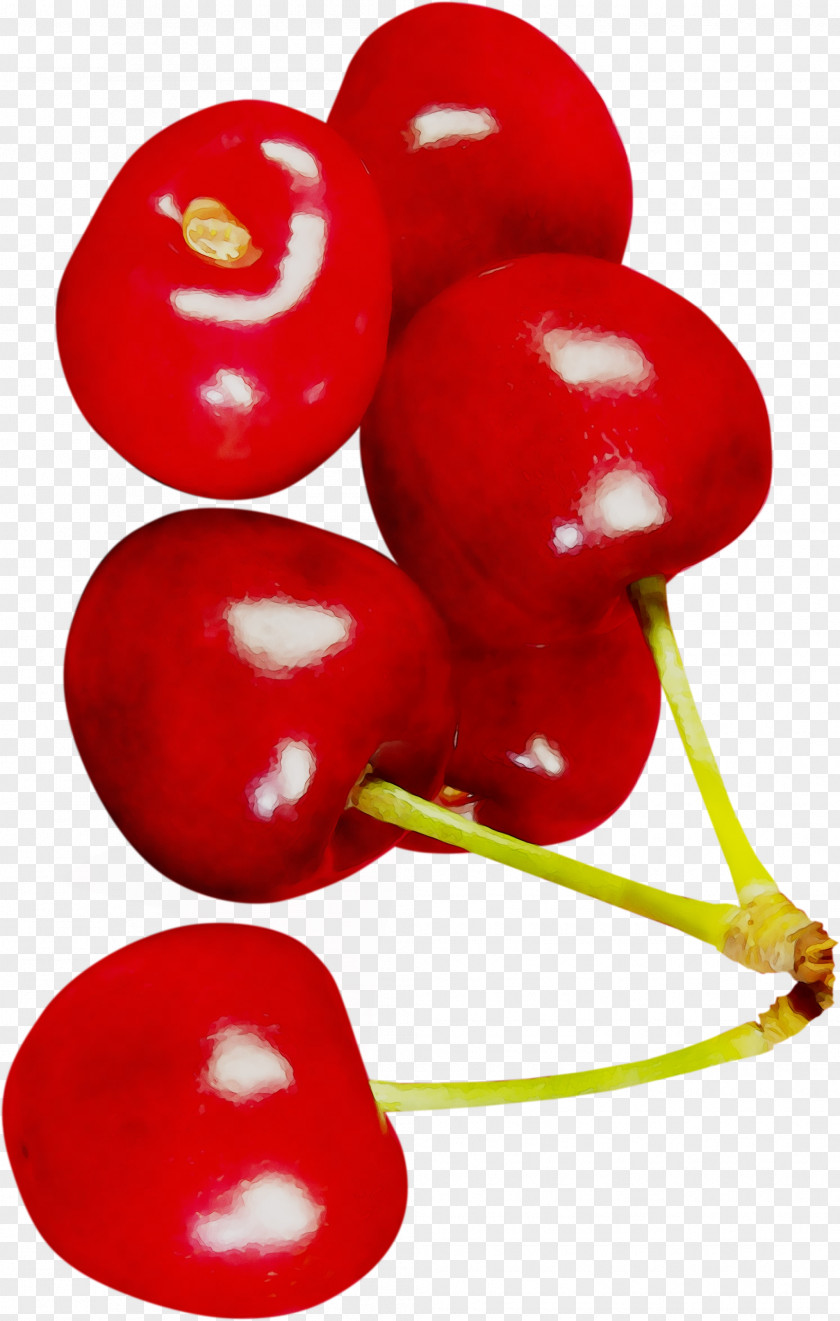 Vegetable RED.M PNG