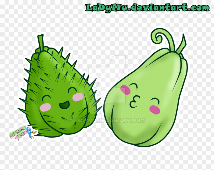 Verduras Fruit Vegetable Chayote Digital Art Drawing PNG