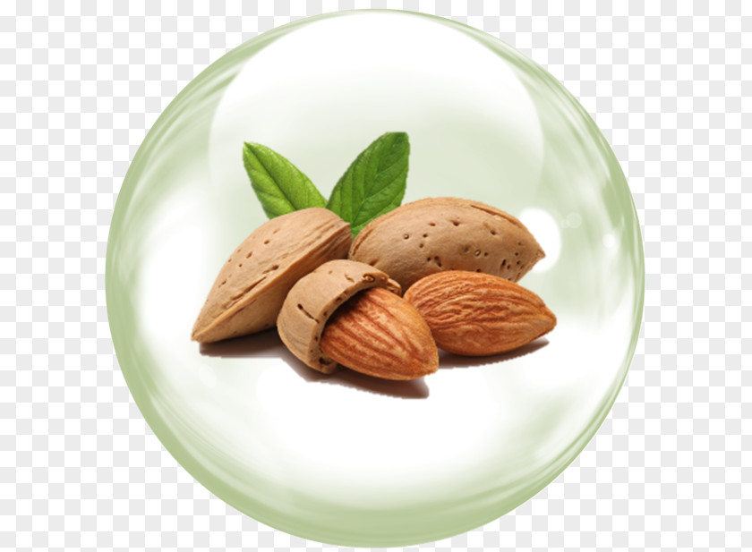 Almond Oil Flavor Food Health PNG