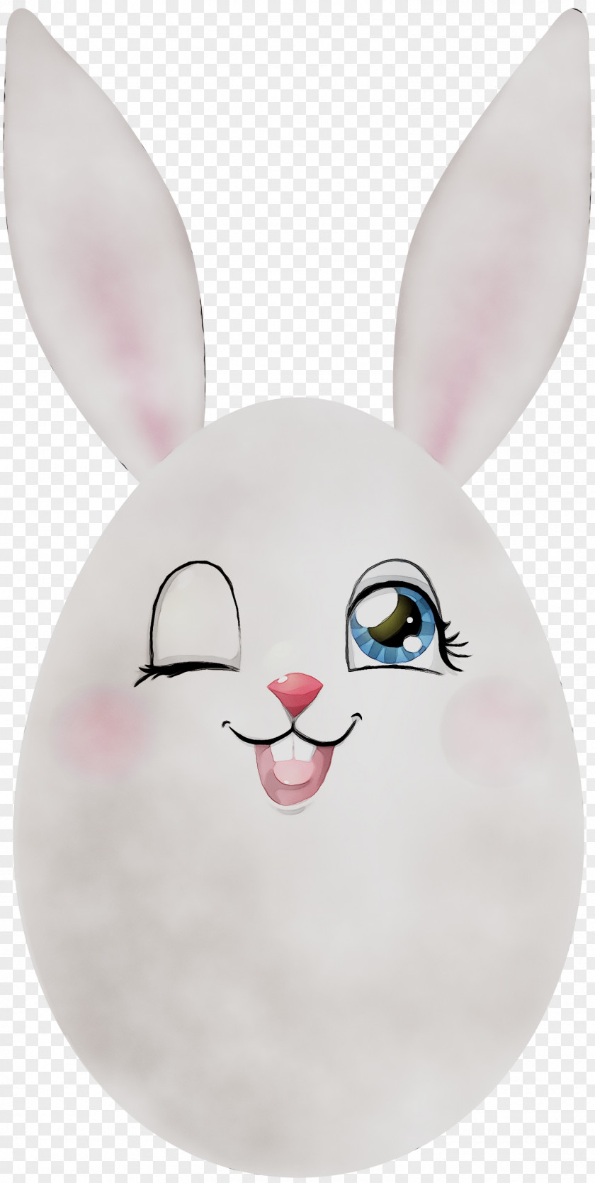 Domestic Rabbit Easter Bunny Whiskers Nose PNG