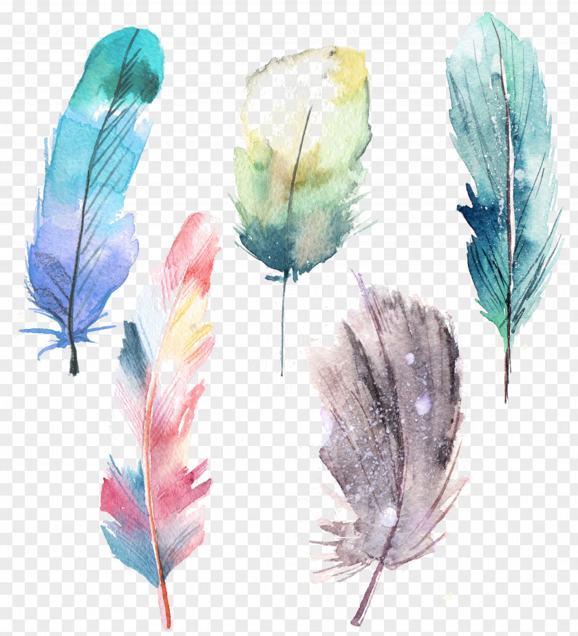 Feather PNG