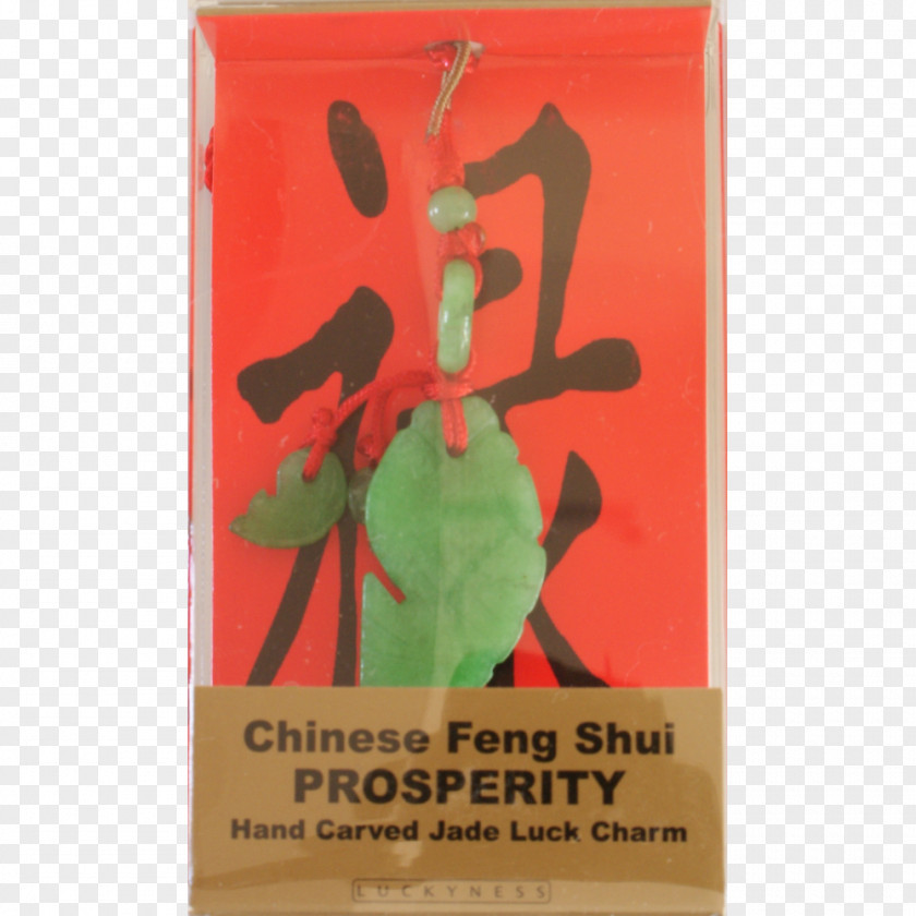 Feng Shui Cultural Centre International New Age Spirituality Happiness Luck PNG