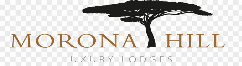 Lake Manyara Morona Hill Lodge Accommodation Luxury Guests Deserve The Best PNG