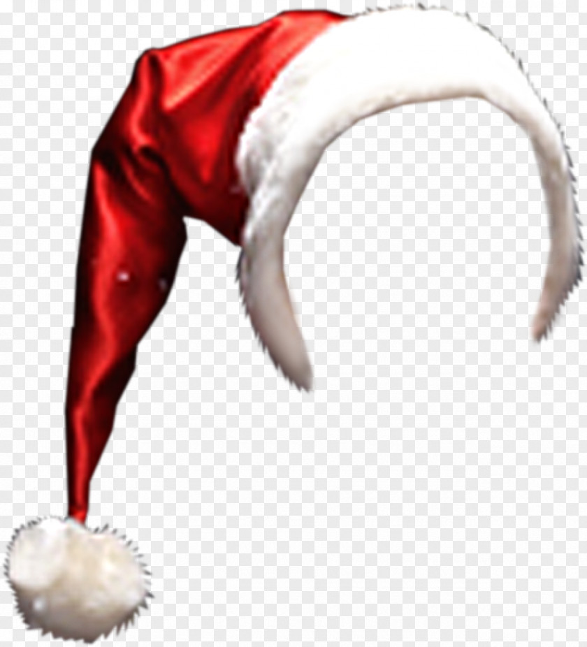 Papaya Santa Claus Bonnet Christmas Hat PNG