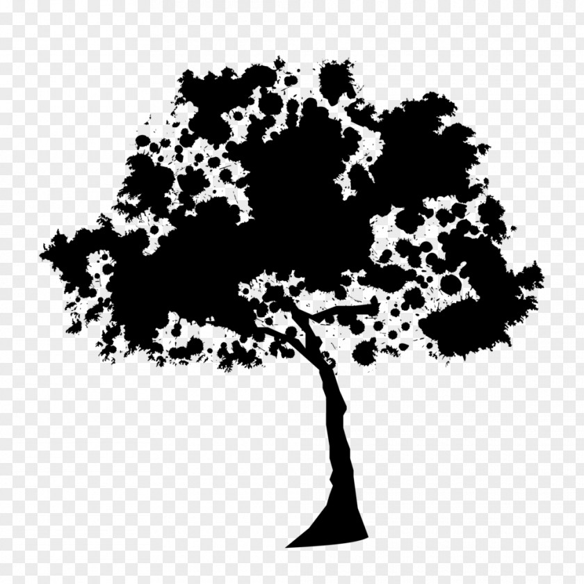 Silhouette Tree Oak PNG