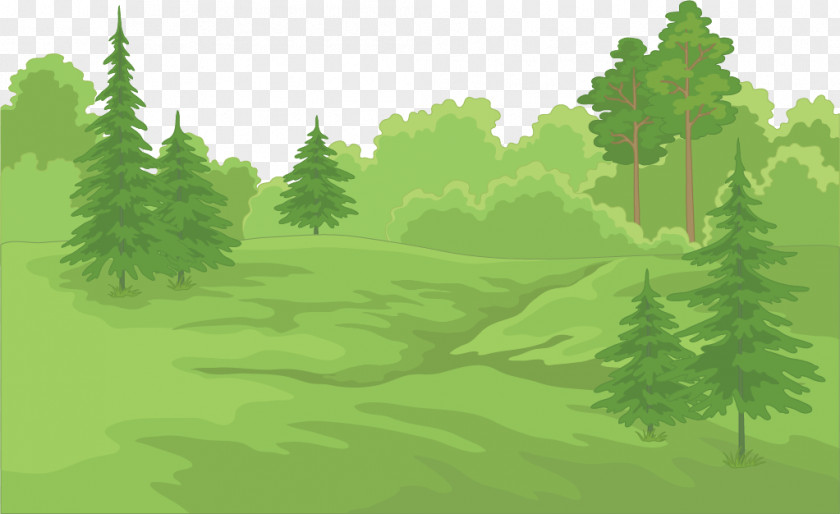 Vector Painted Deep Forest Stock Illustration PNG
