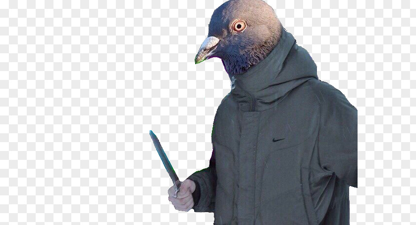 Photography Picture Editor 0 Knife Bird PNG