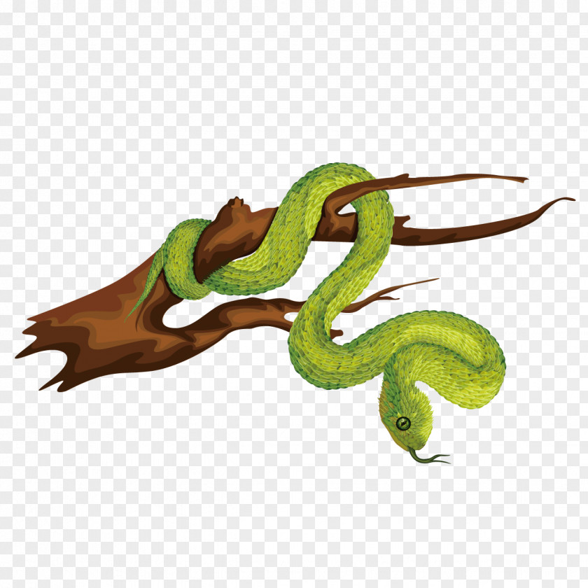 Snake Wrapped Around The Wood Vipers Clip Art PNG