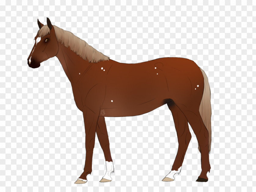 Trakehner American Paint Horse Andalusian Foal Stallion PNG