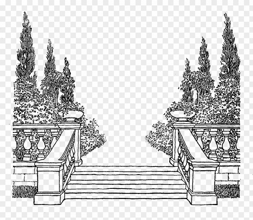 Botanical Frame Facade Architecture Line Art Sketch PNG