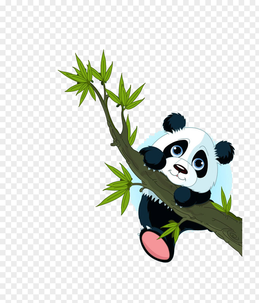Cute Panda PNG panda clipart PNG