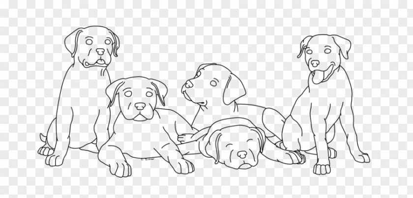 Do Not Litter Dog Breed Drawing Line Art Sketch PNG