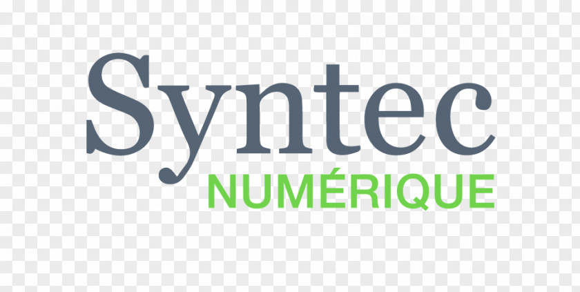 France Syntec Numerique Information Technology Consulting Ingénierie Indice PNG