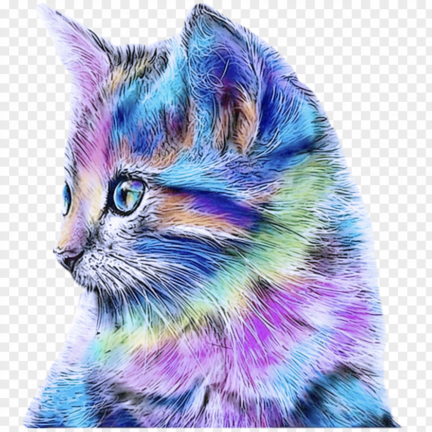 Fur Kitten Cat Small To Medium-sized Cats Whiskers Purple PNG