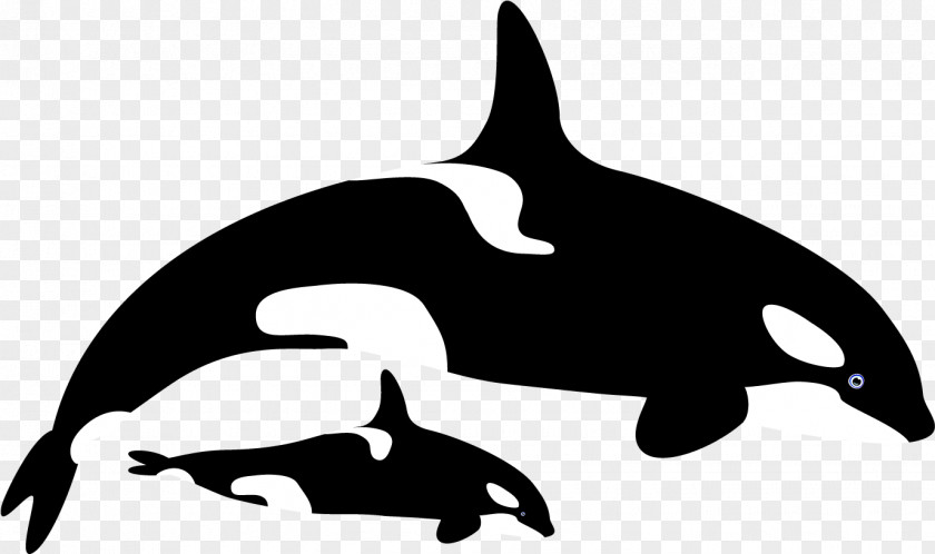 Whale Cartoon Psd Files Killer Dolphin Whales Drawing Clip Art PNG