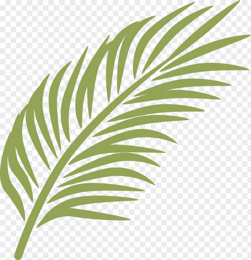 Banana Leaf Palm Branch Sunday Arecaceae Clip Art PNG