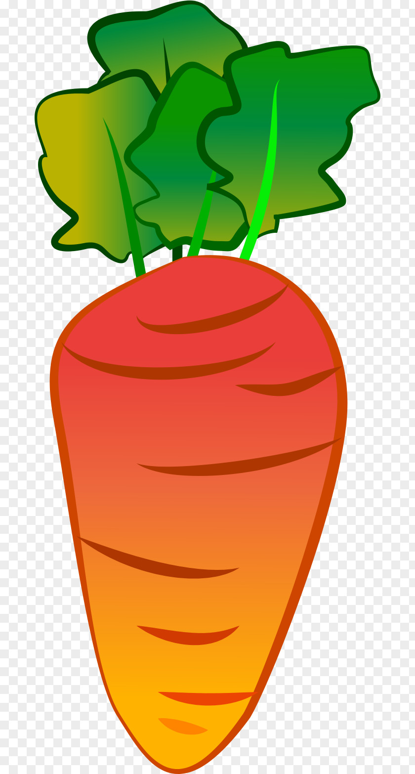 Carrots Carrot Cartoon Vegetable Clip Art PNG
