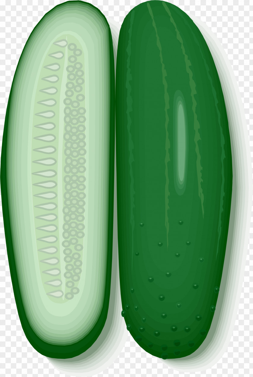 Cucumber Clip Art PNG