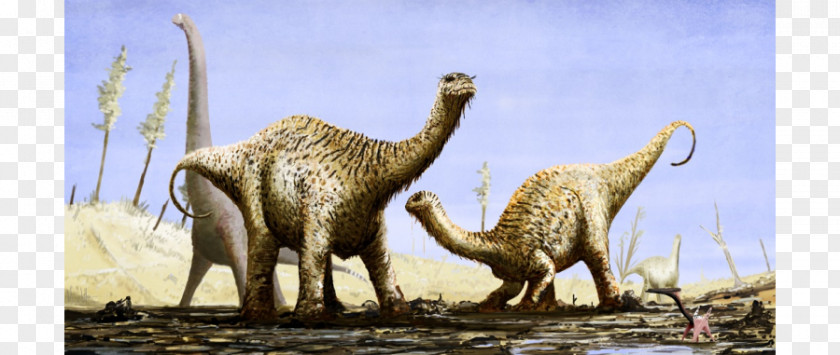 Dinosaur Amargasaurus Prehistory Ouranosaurus Skorpiovenator PNG