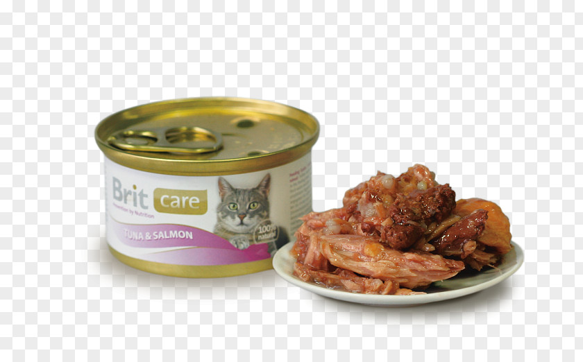 Cat Chicken As Food Thunnus Kitten PNG