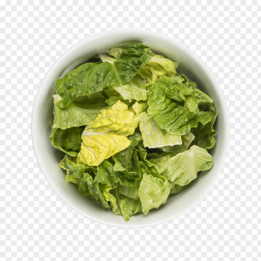 Cuisine Spring Greens Food Leaf Vegetable Spinach Dish PNG