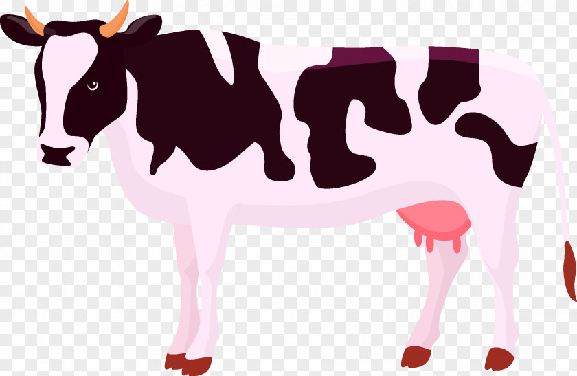 Dairy Cow Cattle Calf Illustration PNG