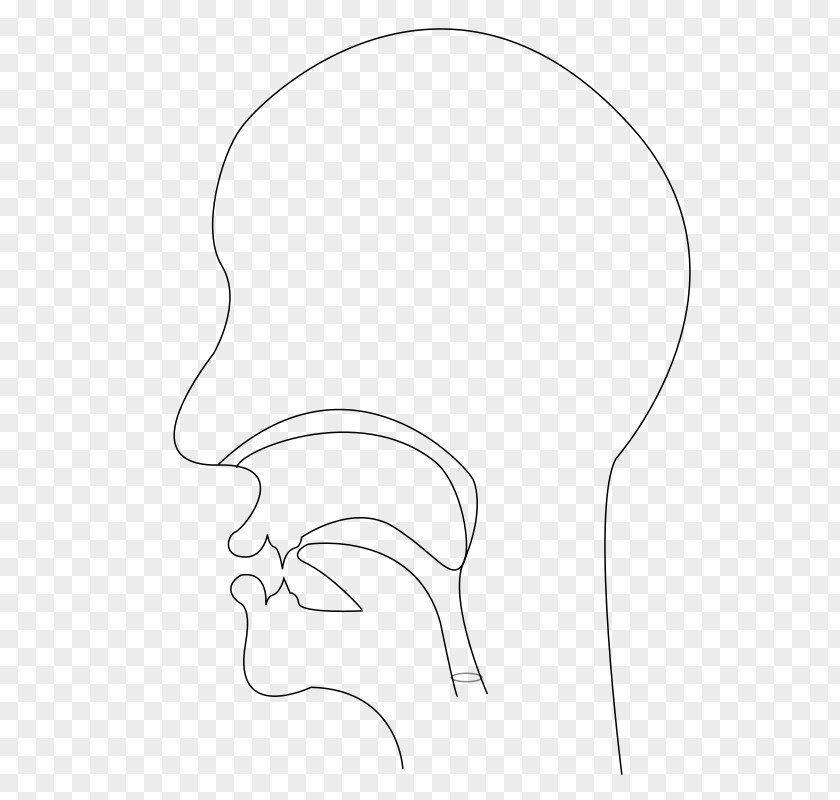 Ear Drawing Line Art /m/02csf Clip PNG