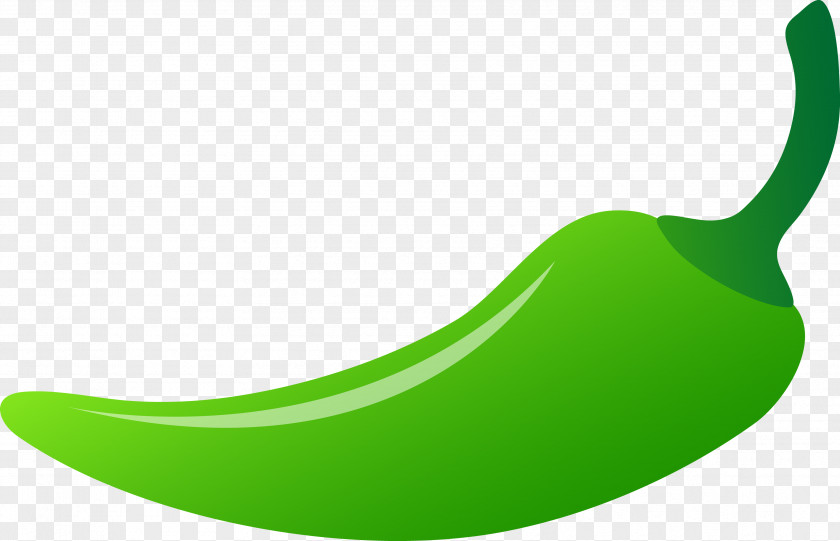 Green Pepper Image Serrano Bell Chili Vegetable Clip Art PNG