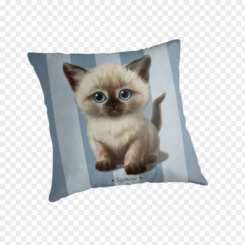 Kitten Whiskers Throw Pillows Cushion PNG