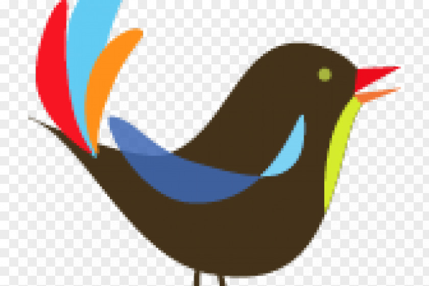 Bird Beak Water Clip Art PNG