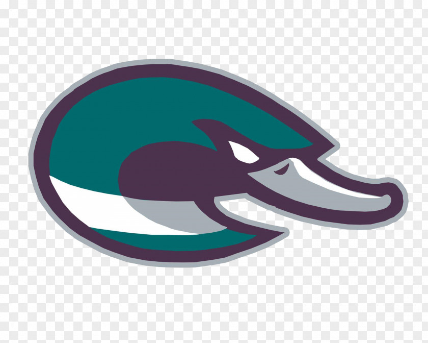 Design Logo Marine Mammal Oval Font PNG