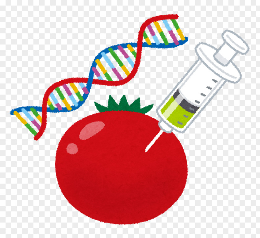 Dna 0 2 Genetically Modified Crops Genetic Engineering Clip Art Food PNG