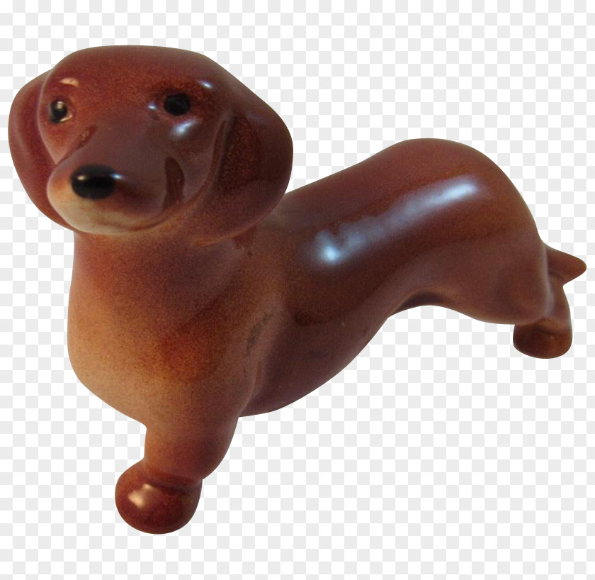 Dog Breed Dachshund Companion Snout PNG