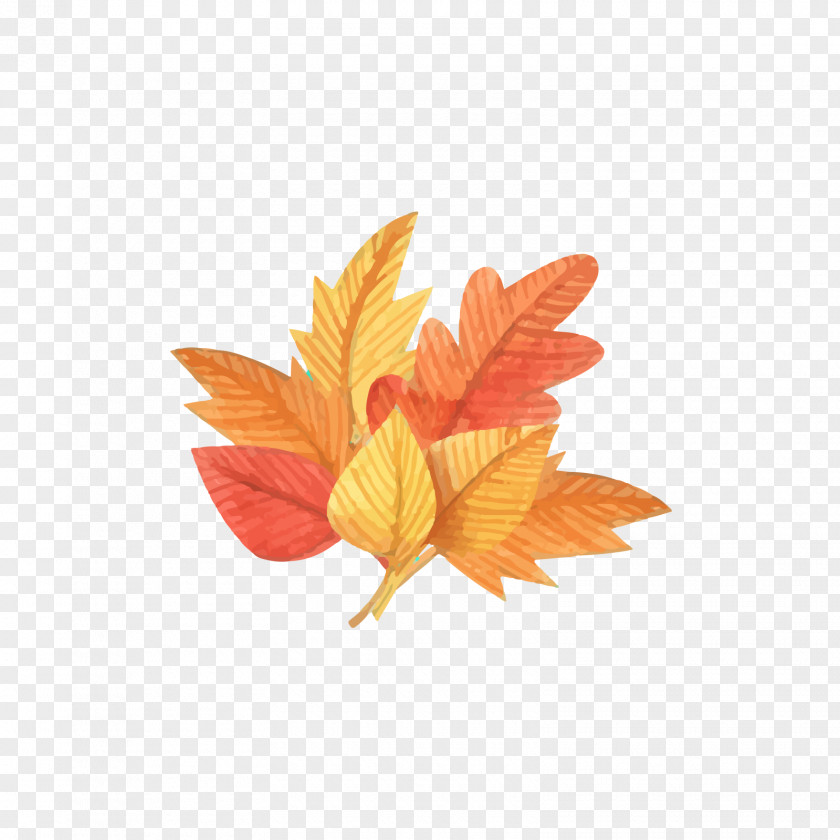 Falling Leaves Together Leaf Autumn Euclidean Vector Deciduous Download PNG