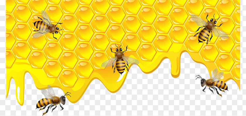 Bee Torte Honeycomb Clip Art PNG
